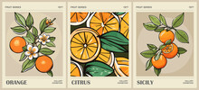 Set Of Abstract Fruit Market Retro Posters. Trendy Kitchen Gallery Wall Art With Orange Citrus Fruits. Modern Naive Groovy Funky Interior Decorations, Paintings. Vector Art Illustration.