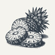 Composition of pineapple isolated on white. Vintage woodcut engraving style hand drawn vector illustration.