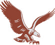 Bald eagle swoop attack hand draw and paint color on transparent background. Eagle in high resolution as a symbol of height, strength and power. PNG format.