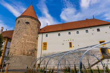 Canvas Print - Le Château d’Yverdon-les-Bains en Suisse