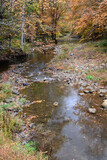 Fototapeta Desenie - Mountain creek in the fall. Located in the North Carolina mountains.