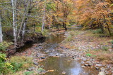 Fototapeta Desenie - Fall creek in North Carolina
