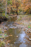 Fototapeta Desenie - Small creek in the fall