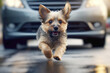 A blurred image of a dog running alongside a moving car, highlighting the potential danger of such situations and the need for pet safety during road trips.