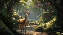White Tailed Deer In Jungle 
