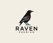 Black Raven Bird Logo Design Template