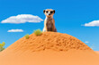 A meerkat perched on a termite mound, its keen eyes scanning for potential threats, a prime example of their resourcefulness and reliance on the savannah's ecosystem for surviva