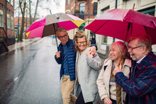Group Of Senior Couples Covering From Rain On Vacation In The City