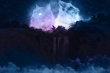  Cat and Fox near the waterfall