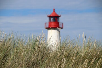 Wall Mural - Leuchtturm in List auf Sylt, Ellenbogen, Germany