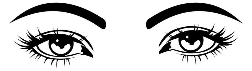 Beautiful female eyes. Pair of woman eyebrows drawing