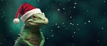 Green Lizard With A Red Christmas Hat On A Green Background