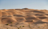 Fototapeta Miasto - Great golden dune in the Rub Al Khali desert with undulating sand lines Oman