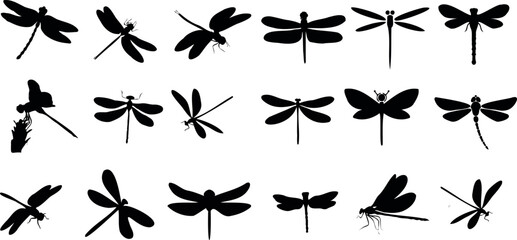 Wall Mural - Dragonfly vector illustration, black silhouettes on white background. Various poses and angles. Perfect for nature, wildlife, spring, summer, art, design, web, social media.