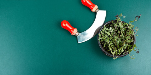 Wall Mural - Fresh marjoram leaves on the table.