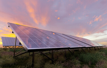 Wall Mural - photovoltaic panels in the light of the setting sun