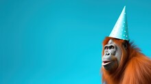 Funny Orangutan With Birthday Party Hat On Blue Background.