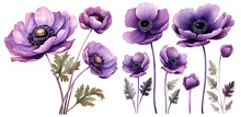 Purple Anemone Flower Illustration Clipart. Generative AI.