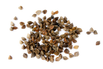 Wall Mural - Pile of buckwheat seeds isolated on white background, top view. Buckwheat seeds isolated on white, top view. Buckwheat grains isolated on white background, top view. Buckwheat for porridge.