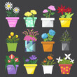 Collection of colorful flowers in pots on black background.