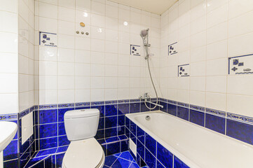 interior apartment room bathroom, sink, decorative elements, toilet