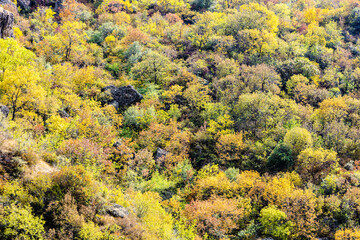 Wall Mural - overgrown colorful walls of gorge near geghard in armenia on sunny autumn day