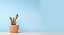  A Cactus In A Pot On A Table Against A Blue Wall.  Generative Ai
