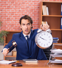 Wall Mural - Young handsome lawyer working in his office