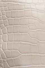 Sticker - Beige color reptile leather texture