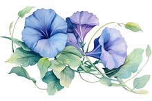 Watercolor Illustration Featuring Morning Glory Flower In Shades Of Blue And Purple. Generative AI
