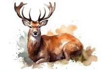 Watercolor Animals Illustration Of Brown Deer. Generative AI