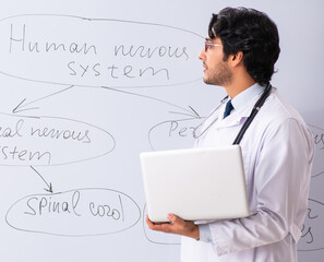 Wall Mural - Young male doctor neurologist in front of whiteboard