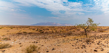 A Panorama View Across Shrubland Towards The Distant Brandberg Mountain In Namibia During The Dry Season