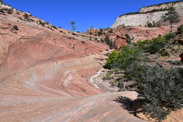 Poster - Sandstone swirls at Zion National Park in Utah