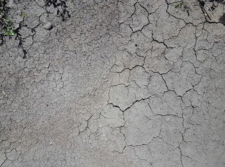 cracked earth texture