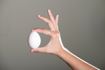 Wall Mural - Egg in hand on grey background