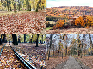 Wall Mural - Collage with various autumn images