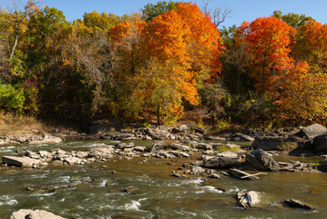 Wall Mural - Fall on the Vermillion River.