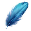 Blue bird feather on transparent background.