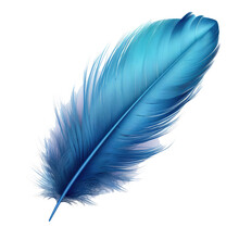Blue Bird Feather On Transparent Background.