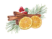 Dried Ripe Orange Slices, Cinnamon Sticks, Red Lingonberries With Leaves, Pine Sprig. Winter Composition Of Aromatic Spices. Watercolor Illustration For Packaging Design, Postcard