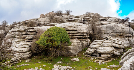 Canvas Print - Limestone landscape in Torcal de Antequera, Spain