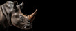 Rhinoceros head in profile or side close up. Panoramic image of a rhinoceros head on the left against the background of a black isolated banner. Generative AI.