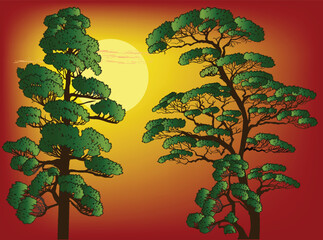 Sticker - three green fine pine trees set at red sunset