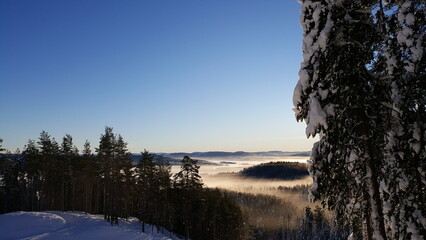 Early morning fog in swedish landscape