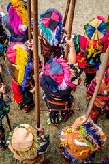 Wall Mural - medieval parade