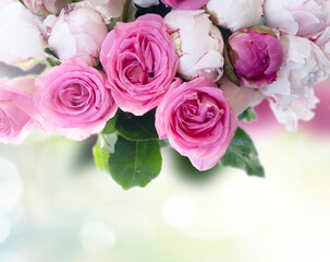 Poster - Pink rose flowers bouquet border on defocused background