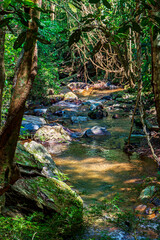 Wall Mural - River crossing the rainforest surrounded by rocks and trees in the state of Minas Gerais, Brazil