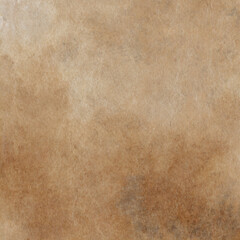 Wall Mural - Brown old paper texture with a nice patina.Vintage paper background.