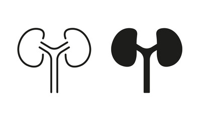 Wall Mural - Kidneys Urology Disease, Dialysis Medical Treatment Symbol Collection. Human Kidney Line and Silhouette Icon Set. Anatomy of Renal Organ Pictogram. Isolated Vector Illustration